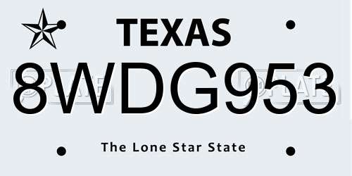 8WDG953 Texas License Plate