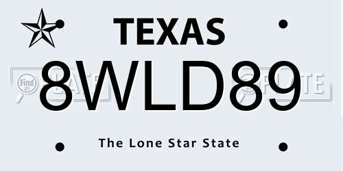 8WLD89 Texas License Plate