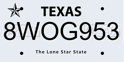 8WOG953 Texas License Plate