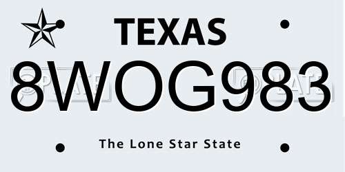 8WOG983 Texas License Plate