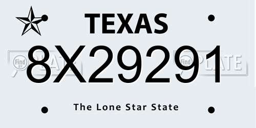8X29291 Texas License Plate
