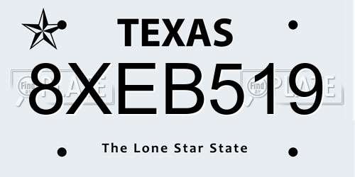 8XEB519 Texas License Plate