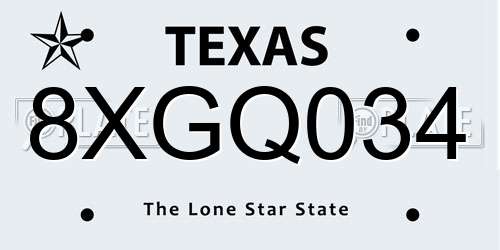 8XGQ034 Texas License Plate