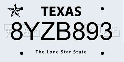 8YZB893 Texas License Plate