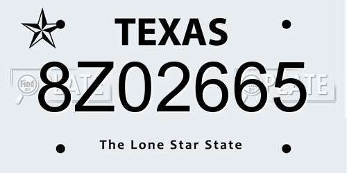 8Z02665 Texas License Plate