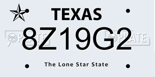 8Z19G2 Texas License Plate