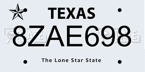 8ZAE698 Texas License Plate