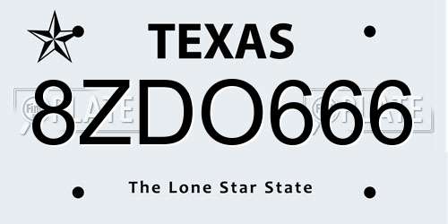 8ZDO666 Texas License Plate