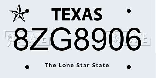 8ZG8906 Texas License Plate