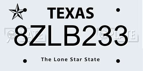 8ZLB233 Texas License Plate