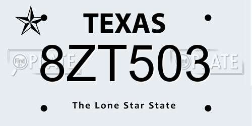 8ZT503 Texas License Plate