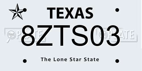 8ZTS03 Texas License Plate