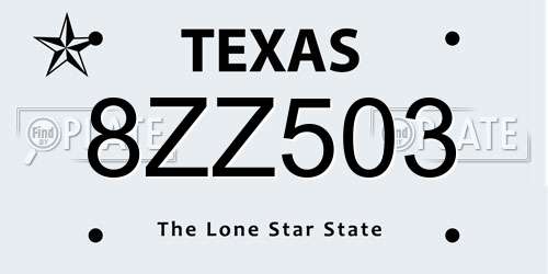 8ZZ503 Texas License Plate