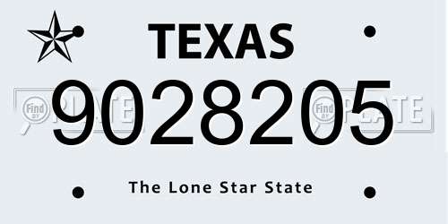 9028205 Texas License Plate