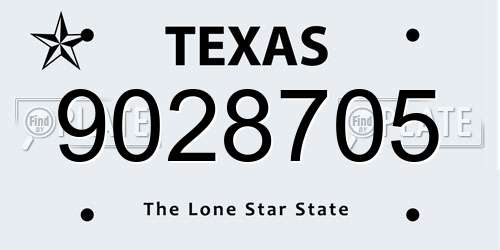 9028705 Texas License Plate