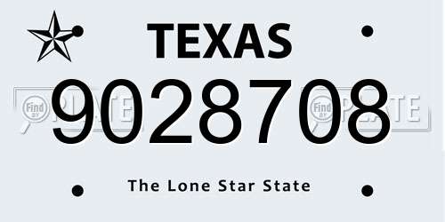 9028708 Texas License Plate