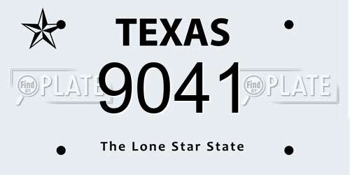 9041 Texas License Plate