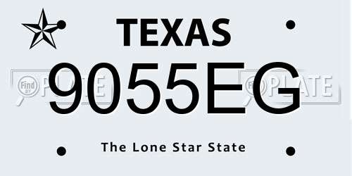 9055EG Texas License Plate