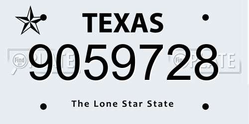 9059728 Texas License Plate