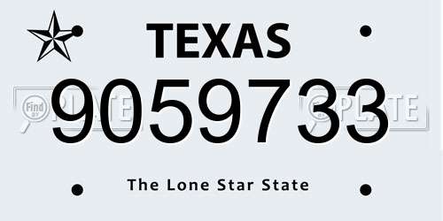 9059733 Texas License Plate