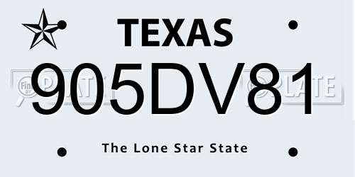 905DV81 Texas License Plate