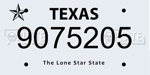 9075205 Texas License Plate