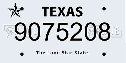 9075208 Texas License Plate