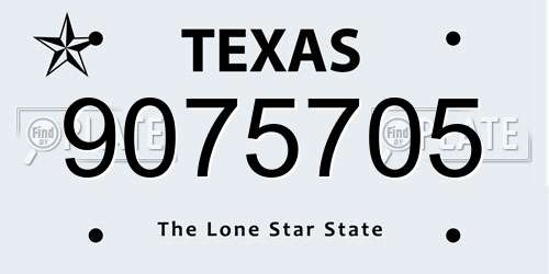 9075705 Texas License Plate