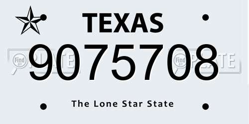9075708 Texas License Plate