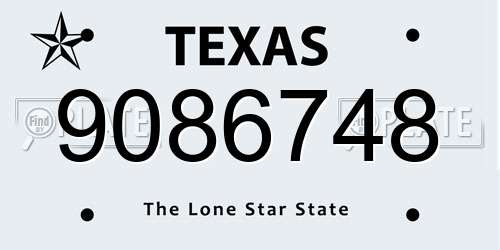 9086748 Texas License Plate