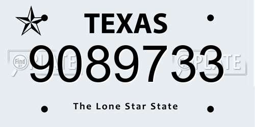 9089733 Texas License Plate