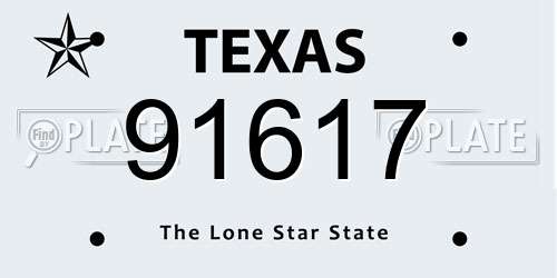 91617 Texas License Plate