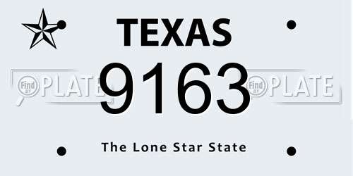 9163 Texas License Plate