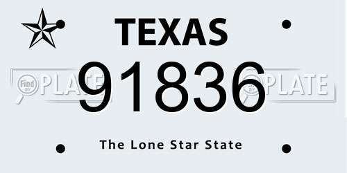 91836 Texas License Plate