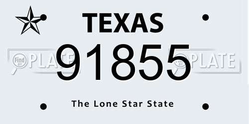 91855 Texas License Plate