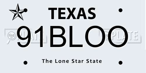 91BLOO Texas License Plate
