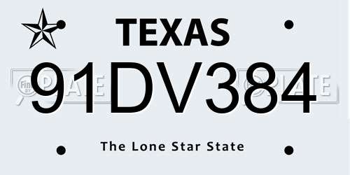 91DV384 Texas License Plate