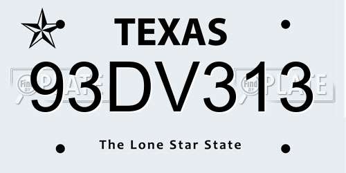 93DV313 Texas License Plate