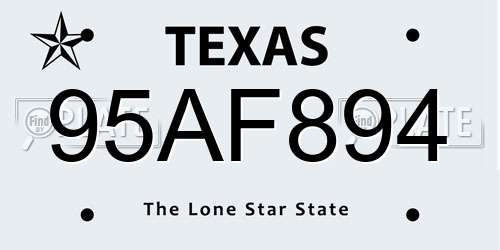 95AF894 Texas License Plate