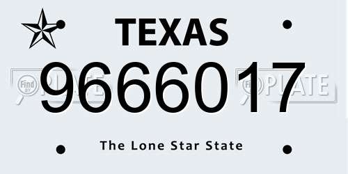 9666017 Texas License Plate