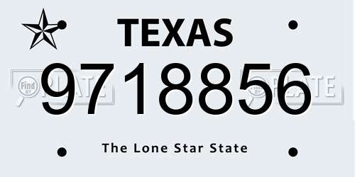 9718856 Texas License Plate