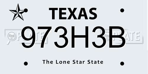 973H3B Texas License Plate
