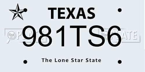 981TS6 Texas License Plate