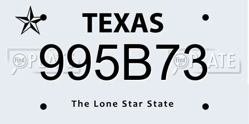 995B73 Texas License Plate