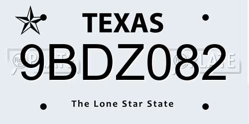 9BDZ082 Texas License Plate