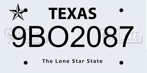 9BO2087 Texas License Plate