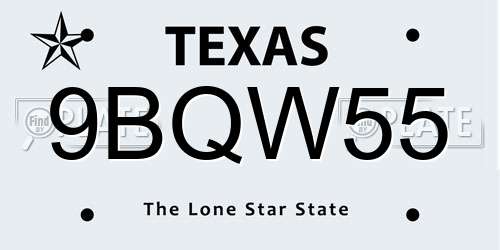 9BQW55 Texas License Plate