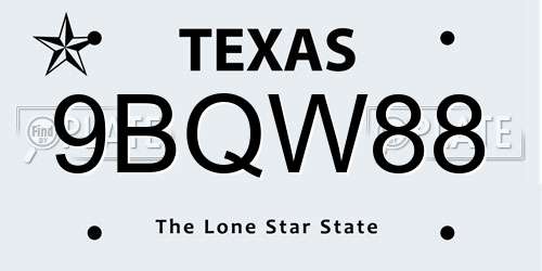 9BQW88 Texas License Plate