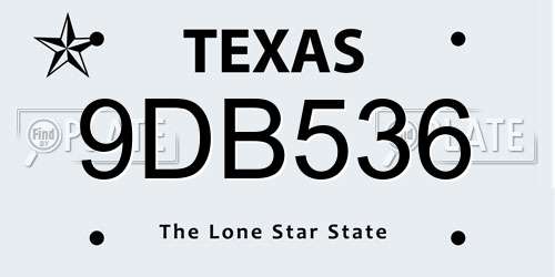 9DB536 Texas License Plate