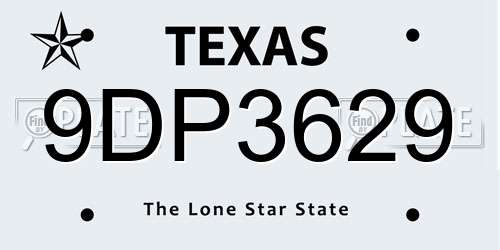 9DP3629 Texas License Plate
